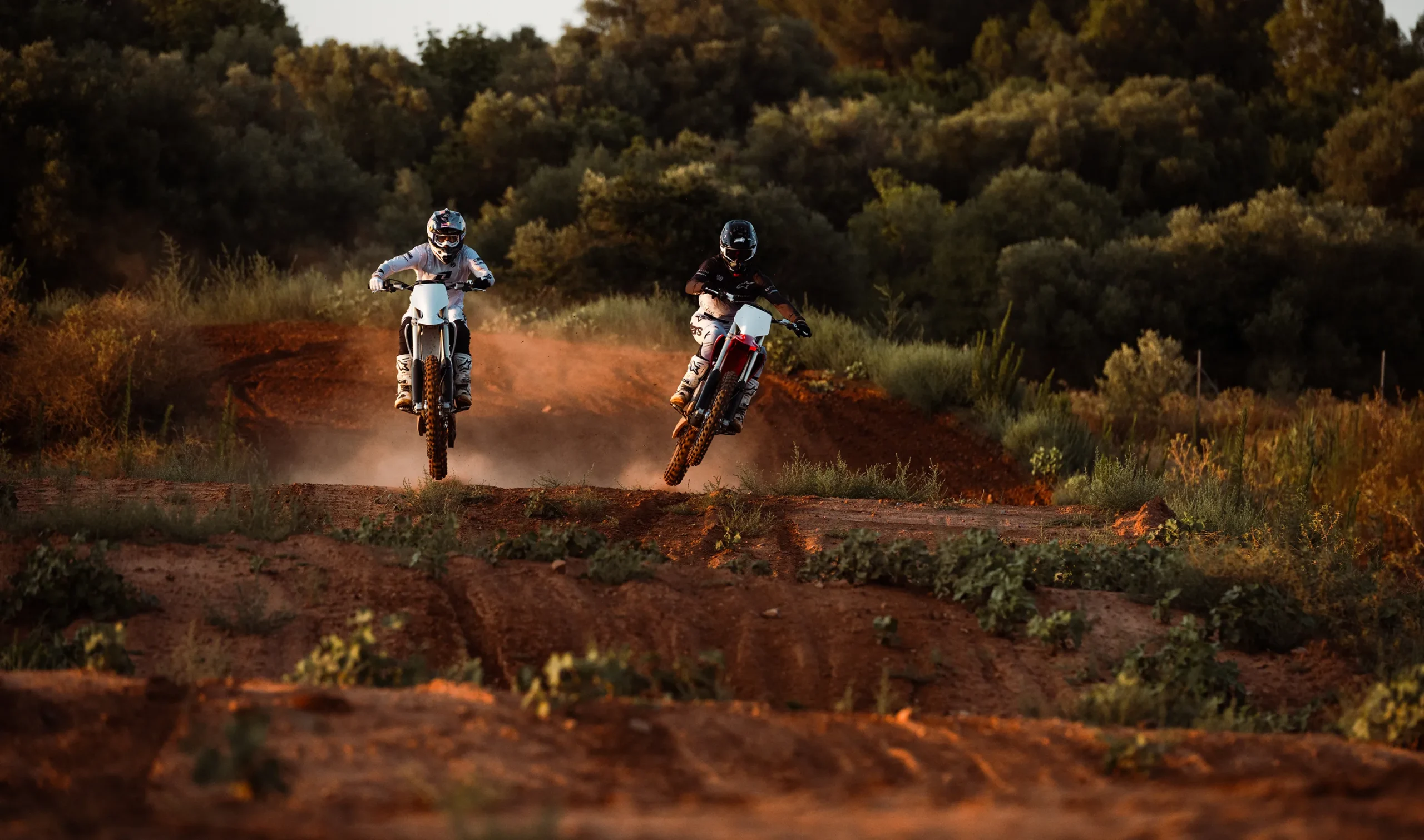 Electronic Bike Tout Terrain Performant - EMX Store